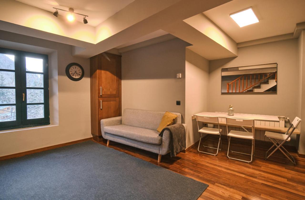 Magnolia Can Mateu, Bonito Apartamento Centrico Con Parking Camprodon Zewnętrze zdjęcie